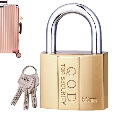 Schloss mit Schlüssel | Kleines Kastenschloss Hochsicherheit | Aufbewahrungsschrankschloss, Rostfreies Schloss und Schlüssel-Set, Gym Locker Lock für Spind, und Outdoor von yztju