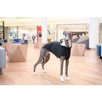 Whippet Hoodie Whippet Hoodie von zaCHARTowani