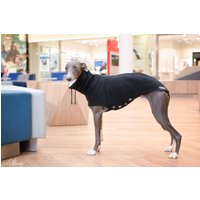 Whippet Sweatshirt Mit Rollkragen Whippet Sweatshirt Mit Rollkragen von zaCHARTowani