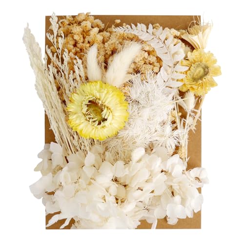 Trockenblumen Weiß,Trockenblumen Zum Basteln,Scrapbook Zubehör,Dried Flowers,Trockenblumen Deko,DIY Natürliche Getrocknet Blumen Set,Getrocknete Blüten Für Kunst Basteln DIY Epoxidharz Formen Trockenblumen Weiß,Trockenblumen Zum Basteln,Scrapbook Zubehör,Dried Flowers,Trockenblumen Deko,DIY Natürliche Getrocknet Blumen Set,Getrocknete Blüten Für Kunst Basteln DIY Epoxidharz Formen von zavehony
