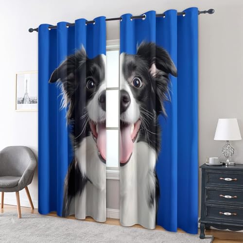 zcwl Border Collie Vorhänge, Hunde Haustier Blau Verdunklungsvorhänge mit Ösen, Vorhang Blickdicht für Wohnzimmer Schlafzimmer Dekoration, Gardinen mit Muster, 2er Set, 200 x 140 cm (HöhexBreite) zcwl Border Collie Vorhänge, Hunde Haustier Blau Verdunklungsvorhänge mit Ösen, Vorhang Blickdicht für Wohnzimmer Schlafzimmer Dekoration, Gardinen mit Muster, 2er Set, 200 x 140 cm (HöhexBreite) von zcwl