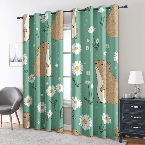 zcwl Hamster Vorhänge, Grüne Weiße Gänseblümchen Verdunklungsvorhänge mit Ösen, Vorhang Blickdicht für Wohnzimmer Schlafzimmer Dekoration, Gardinen mit Muster, 2er Set, 137 x 117 cm (HöhexBreite) zcwl Hamster Vorhänge, Grüne Weiße Gänseblümchen Verdunklungsvorhänge mit Ösen, Vorhang Blickdicht für Wohnzimmer Schlafzimmer Dekoration, Gardinen mit Muster, 2er Set, 137 x 117 cm (HöhexBreite) von zcwl