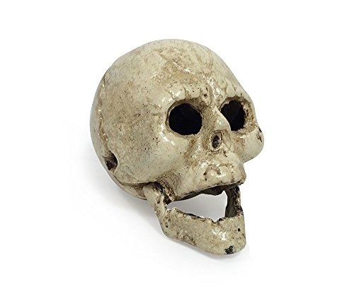 zeitzone Flaschenöffner Totenkopf Schädel Gusseisen Weiß Halloween Gothic Antik-Stil von zeitzone