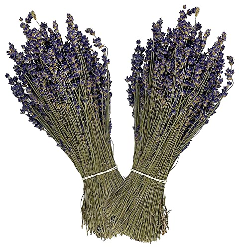 zeitzone Lavendel Getrocknet Bund 2 Stück Trockenblumenstrauß Provence Natur von zeitzone