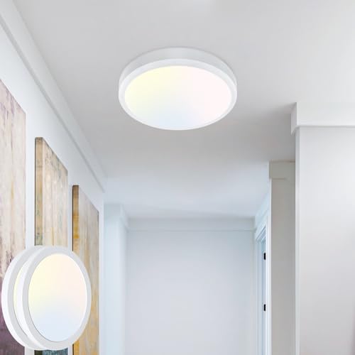 zemty 2Stück/3Farben 3000/4000/6500K LED Deckenleuchte Flach, 8W 900LM Ø12cm Deckenleuchten, Rund Ultra Dünn Deckenlampe LED Lampen Deckenlampen,Deckenbeleuchtung für Badezimmer,Küche von zemty