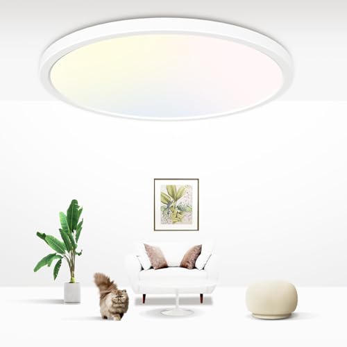 zemty Deckenlampe LED Deckenleuchte Flach Rund - 24W 2100LM Warmweiß/Neutralweiß/Kaltweiß Wählbar Modern Badlampe Decke Ultra Dünn Badezimmer Lampe für Flur Balkon Treppe Keller Ø 22 CM von zemty