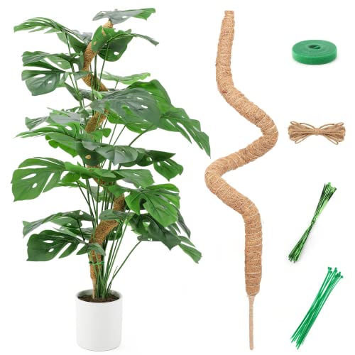 zerotop Moosstab, Pflanzstab Kokos Monstera Rankhilfe Biegbare Moosstab für Rankhilfe Monstera, 114cm Pflanzenstab Kokosstab für Pflanzen Pflanzenstütze Pflanzstab für Kletterpflanzenwachstum(1*114cm) zerotop Moosstab, Pflanzstab Kokos Monstera Rankhilfe Biegbare Moosstab für Rankhilfe Monstera, 114cm Pflanzenstab Kokosstab für Pflanzen Pflanzenstütze Pflanzstab für Kletterpflanzenwachstum(1*114cm) von zerotop