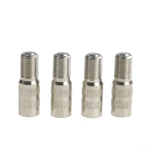 Auslaufsichere Aufpumpdüse für Elektroroller M365 Aufblasventil (4 x 25 mm Silber) von zeroupshop