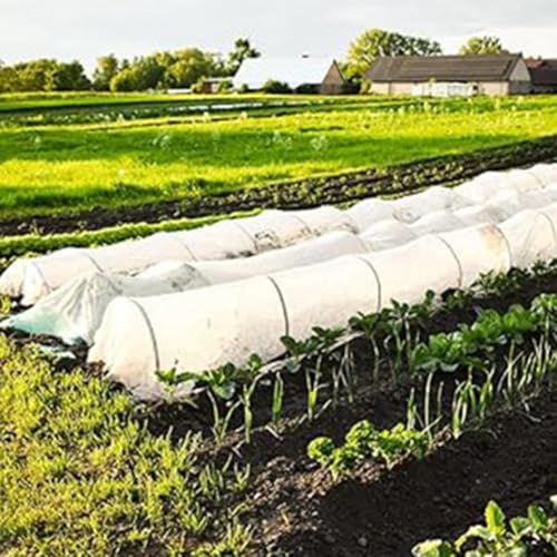 Pflanzenschutz-Gewächshausreifen aus Fiberglas-Stangen, entworfen, um Gartenabdeckungen fest zu halten und frost- und insektensichere Bedingungen für die Keimung zu schaffen (1 Stück) von zeroupshop