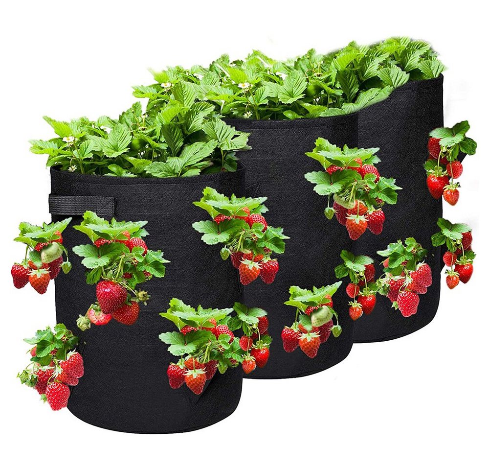 zggzerg Blumentopf 3 Stück Erdbeere Pflanzsack Pflanzen Taschen mit 8 seitliche 43L/10Gal von zggzerg