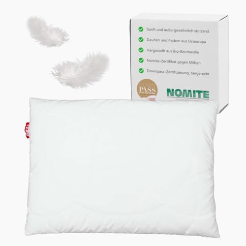 zizzz Enten Daunenkissen - Made in Germany - NoMite & Downpass Zertifiziert - Kissen aus 15% Entendaunen / 85% Entenfedern mit Bio Baumwoll Batist umhüllt (65x65) von zizzz
