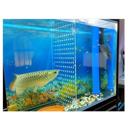 Aquarium Trennwand, Aquarium Partition Trennplatte Isolationsplatine Trennplatte Schallwand Partition Gittergewebe Verhindern Fisch Schildkröte Kämpfen Artefakt ( Farbe : klar , Größe : 35 X50cm ) von zklaseot