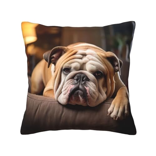 zkyfll Kissenbezug mit Druck englische Bulldogge, quadratische Sofakissen, 40 x 40 cm zkyfll Kissenbezug mit Druck englische Bulldogge, quadratische Sofakissen, 40 x 40 cm von zkyfll