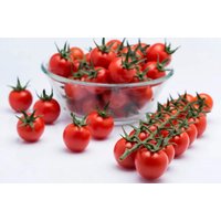 Tomaten Cocktail Kirschsamen Ca 140 Samen Gemüse Frühling Sommer von zlatishop