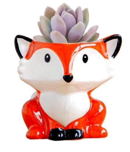 zmgmsmh Keramik-Sukkulenten-Blumentopf, Kaktus-Pflanzgefäß, Blumentopf, Behälter, Pflanzgefäß mit Ablaufloch, für Zuhause, Büro, Schreibtisch, Garten, Geschenkidee, Tier-geformter Blumentopf zmgmsmh Keramik-Sukkulenten-Blumentopf, Kaktus-Pflanzgefäß, Blumentopf, Behälter, Pflanzgefäß mit Ablaufloch, für Zuhause, Büro, Schreibtisch, Garten, Geschenkidee, Tier-geformter Blumentopf von zmgmsmh