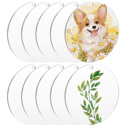 10 Stück Acrylscheibe Rund mit Loch, 15cm Rund Klare Acrylplatte, Transparent Acryl Rohlinge Scheiben, 2mm Dick, Acryl Scheiben für DIY Malerei, Bildrahmen, Basteln, Handwerk von zorvixal