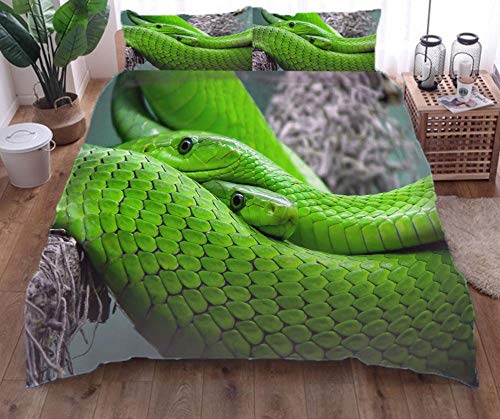 Bettwäsche Set Grüne Schlange Bettbezug Und Kissenbezug Mikrofaser 3D Digital Print Dreiteiliger 135×210Cm von zpangg