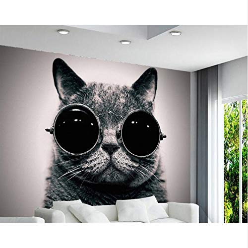Tapete Europäischen Tragen Sonnenbrille Katze Niedlich Spielen Coole Kinderzimmer Hintergrund Wand 3D Tapete Wandbild 150X105Cm von zpbzambm