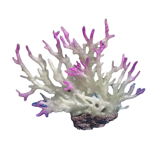 zuousxbs Künstliche Wasserpflanze Aquarium Pflanze Terrarium Fischtanks Ornamente Dekorationen Pflanze Zum Dekorieren Von Fischtanks Künstliche Korallendekorationen zuousxbs Künstliche Wasserpflanze Aquarium Pflanze Terrarium Fischtanks Ornamente Dekorationen Pflanze Zum Dekorieren Von Fischtanks Künstliche Korallendekorationen von zuousxbs