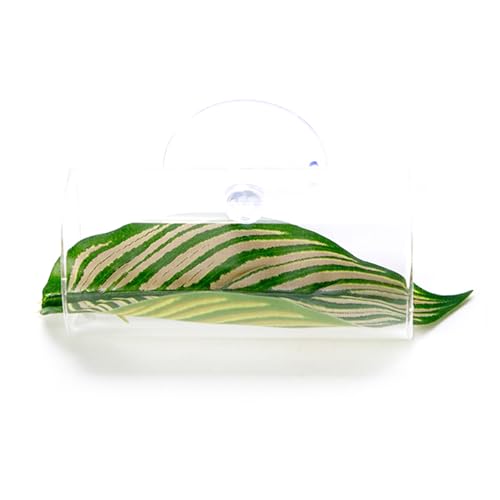 zuousxbs Wasserdichtes Acryl Bettas Fisch Nest Haltbarkeit Fisch Garnelenschutz Fisch Ornamente Für Aquarien Enthusiasten Professionelle Fischtanks Dekoration zuousxbs Wasserdichtes Acryl Bettas Fisch Nest Haltbarkeit Fisch Garnelenschutz Fisch Ornamente Für Aquarien Enthusiasten Professionelle Fischtanks Dekoration von zuousxbs