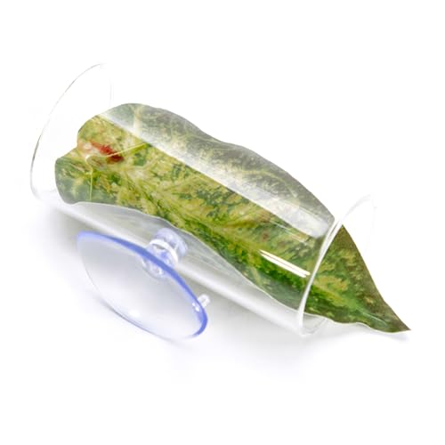 zuousxbs Wasserdichtes Acryl Bettas Fisch Nest Haltbarkeit Fisch Garnelenschutz Fisch Ornamente Für Aquarien Enthusiasten Professionelle Fischtanks Dekoration zuousxbs Wasserdichtes Acryl Bettas Fisch Nest Haltbarkeit Fisch Garnelenschutz Fisch Ornamente Für Aquarien Enthusiasten Professionelle Fischtanks Dekoration von zuousxbs