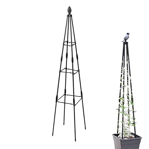 Rankhilfe für den Garten, Rankhilfe für Kletterpflanzen, platzsparende Struktur, stabile Wachstumshilfe, 25 x 120 cm, Outdoor-Lösung für Erbsen, Bohnen, Gurken, Gemüse, Balkonräume Rankhilfe für den Garten, Rankhilfe für Kletterpflanzen, platzsparende Struktur, stabile Wachstumshilfe, 25 x 120 cm, Outdoor-Lösung für Erbsen, Bohnen, Gurken, Gemüse, Balkonräume von zwxqe