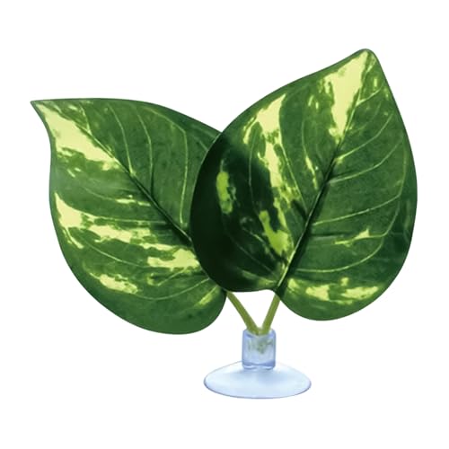 zwxqe Betta Bett | Aquarium Blatt Pad Mit Saugnapf | Realistische Ruheplattform Für Laichplatz Guppy Schlafplatz Spielbereich Anreicherung von zwxqe