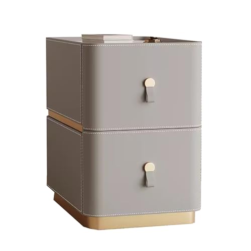 zxhrybh Nachttisch, Nachtschrank fürs Schlafzimmer, Schmaler Beistelltisch, Nightstand mit 2 Schubladen, Kleiner Platzbedarf, für Wohnzimmer und Schlafzimmer(Color:Gray) von zxhrybh