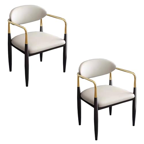 zxhrybh Set mit 2 Modernen Gepolsterten Esszimmerstühle mit Armlehnen und Offener Rückenlehne, Küchenstuhl mit Metallrahmen, für Küche, Esszimmer oder Büro(White) von zxhrybh