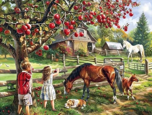 Diamond Painting Set Erwachsene Bauernhof Diamant Painting Bilder Pferd Rund Steine Bilder ZubehöR Set,5D Crystal Art Kinder 5D DIY Basteln Erwachsene Bastelset für Haus Wanddeko 45x60cm Q49 von zzgoanguo