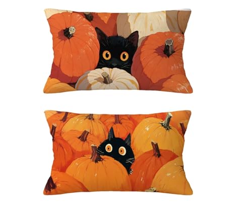 Herbst Kissen Orange Farbe Kissenbezug 40 x 70 cm Kopfkissen Samt Sofakissen Kürbis Dekokissen Doppelseitiges Muster Kuschelkissen Terrassen Couch Garten Balkon Strand Halloween Deko,2 Stück md-217 Herbst Kissen Orange Farbe Kissenbezug 40 x 70 cm Kopfkissen Samt Sofakissen Kürbis Dekokissen Doppelseitiges Muster Kuschelkissen Terrassen Couch Garten Balkon Strand Halloween Deko,2 Stück md-217 von zzgoanguo